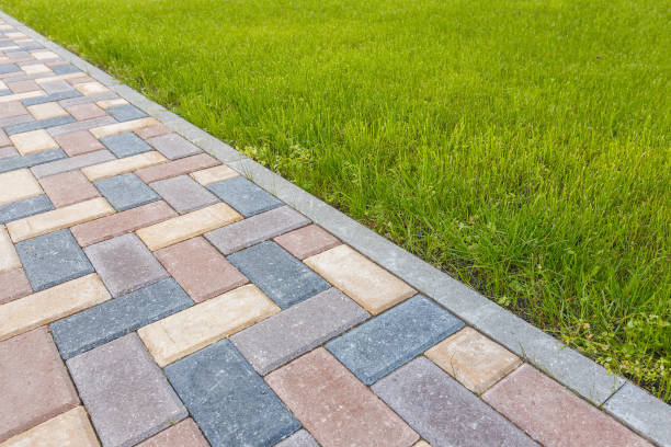 Best Driveway Paving Near Me  in Luverne, AL
